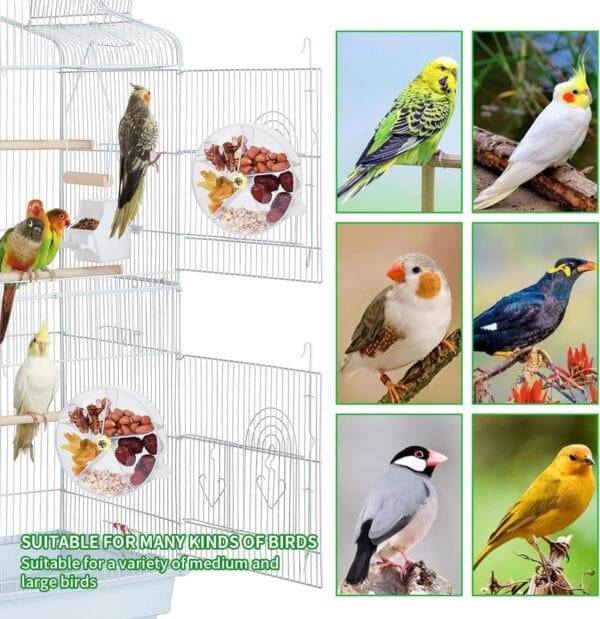 momgyaamz Juguetes Loros, Pájaros Juguete Acrílico, Juguetes Agapornis Giratorio, Bird Feeder, Masticar Juguetes Colgante, Pajaros Juguetes Intelectuales, Jaula Accesorios Transparente - Image 4