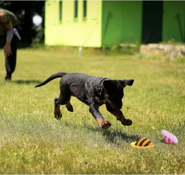 FuninCrea Juguete de Peluche para Perros, Bonitas Zapatillas de Casa Juguetes Interactivos, para Perros Medianos y Cachorros Juguete para Morder para Reducir el Aburrimiento (Rosa) - Image 4
