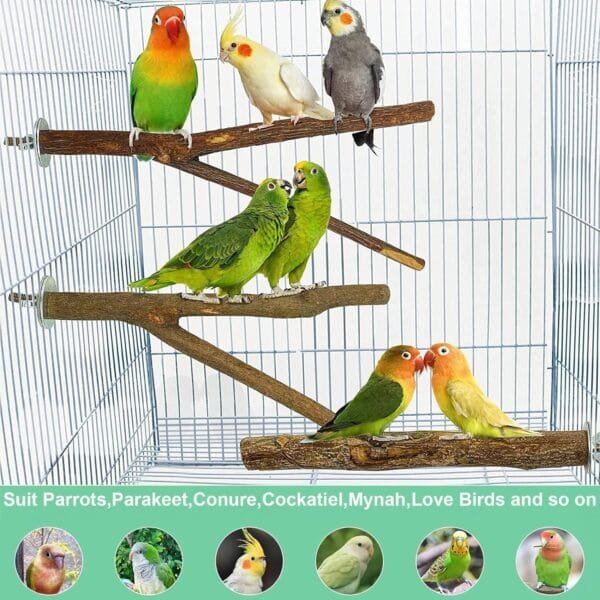 Madera Natural para Pájaros, 5 Piezas de Soporte para Percha para Pájaros, Accesorios de Jaula para Loros, Ramas de pie, Juguetes para Masticar Loros - Image 4
