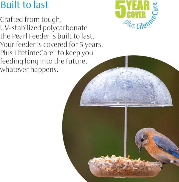 Comedero para pájaros Transparente con Forma de cúpula de Lluvia de 15 cm con Texto en inglés I Love Robins Rellena con Semillas de pájaros o Gusanos de Comida. - Image 5