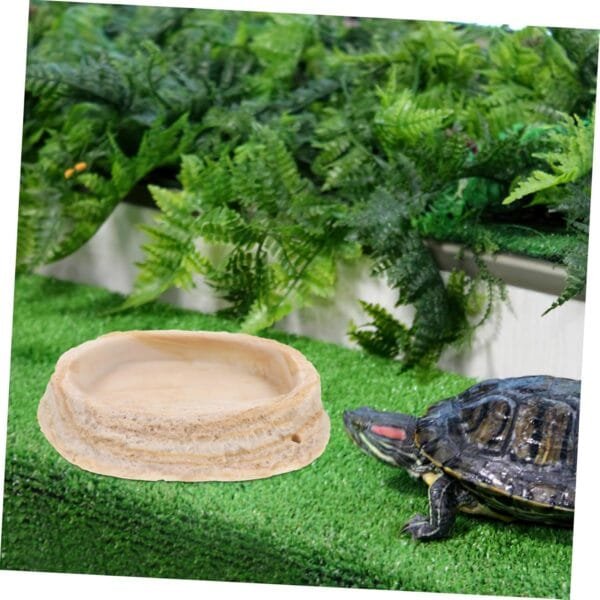 BESPORTBLE Comedero para Reptiles Plato De Comida De Tortuga Plato De Alimentación De Mascotas sobre Orugas Cuenco De Agua para Reptiles Plato De Gusano Reptil Plato De Agua De Tortuga Resina - Image 3
