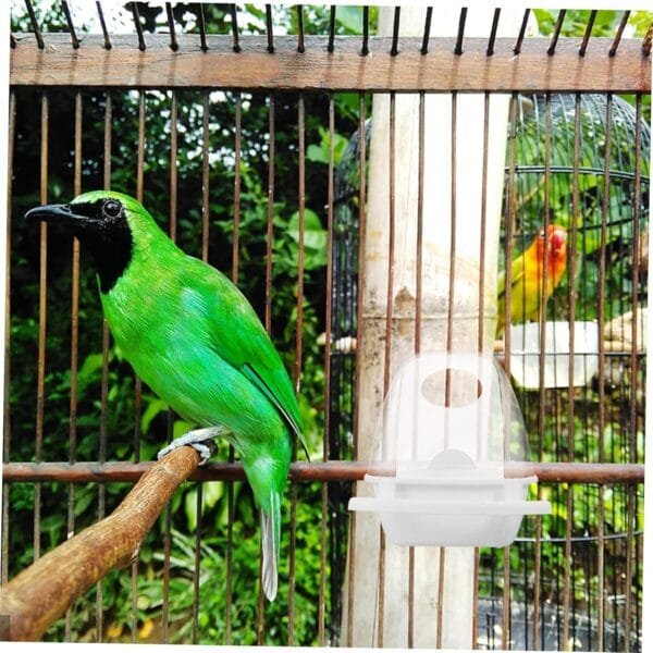 YARNOW 4 Piezas Caja De Comida para Pájaros Plato De Comida Colgante Taza De Alimentación Colgante Comida para Pájaros Colgantes Loro Colgando Salvaje Canasta De Frutas El Plastico - Image 7