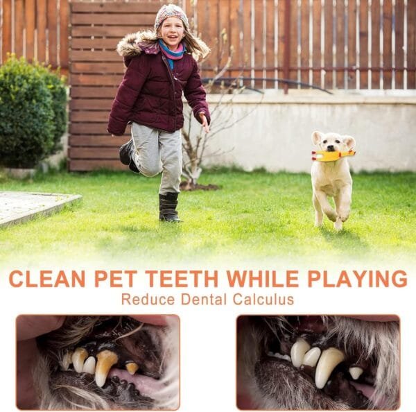 20 piezas de juguete para perros,Juguete para masticar cuerda de juguete interactivo perro bola de cuerda,Juguete interactivo perro de algodón seguro y no tóxico puede limpiar los dientes de perro - Image 5