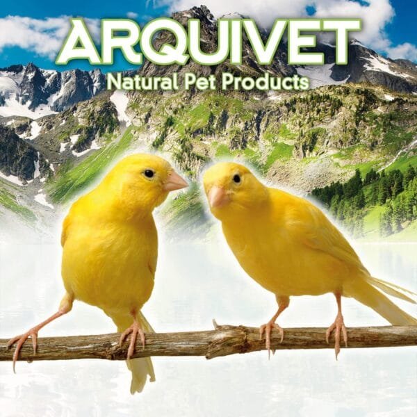 ARQUIVET Escalera de Madera para pájaros 7 peldaños - 14 x 69 cm - Accesorios para jaulas - Juguetes para Todo Tipo de Aves - Loros, periquitos, Canarios, agapornis y más - Image 3