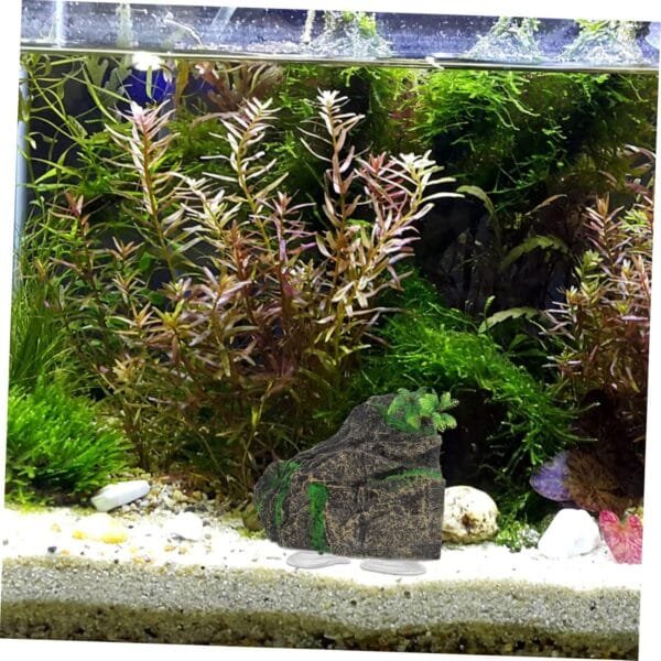 HAPINARY Casa Escondite Terrarios De Reptiles Plataforma Tortuga Plataformas De Tortugas De Escritorio Rampa De Tortuga Tanque Accesorios para Mascotas Hábitat De Tortuga Pecera Resina - Image 8