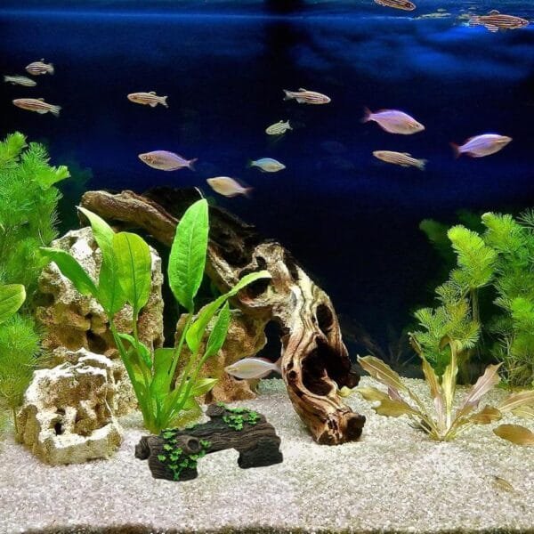 KJDKNC Reptiles Hideaways Cuevas, casa de tortugas, terrario, acuarios para reptiles, escondite de tortugas, decoración - Image 2
