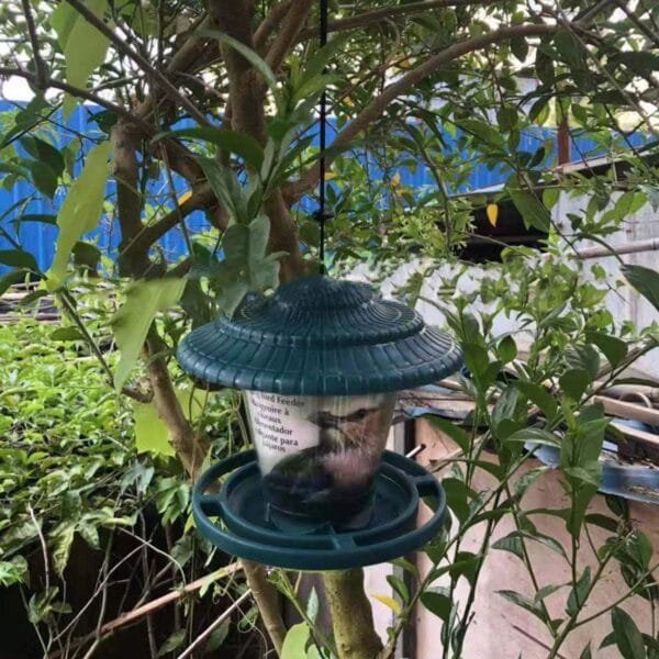 SOONHUA Comedero para Pájaros de Plástico para Colgar Contenedor de Comida para Pájaros con Techo para Patio de Jardín Al Aire Libre - Image 8