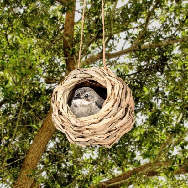 4 Piezas Nidos de Pájaros, Nidos para Pájaros Pequeños de Hierba Natural, Casa de Pajaros Exterior, Tejidas a Mano Hierba Nidos para Pajaros, para Pájaros Pequeños como Colibrí, Teta - Image 2
