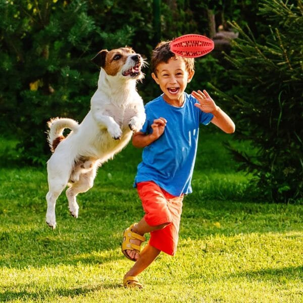 2pcs Pelota de Caucho Natural para Perros, Pelota Duradera para Comedero de Perros, Juguete para Limpieza de Dientes de Perro, Pelota Perro Indestructible,Juguetes Interactivos para Perros(6 cm) - Image 6