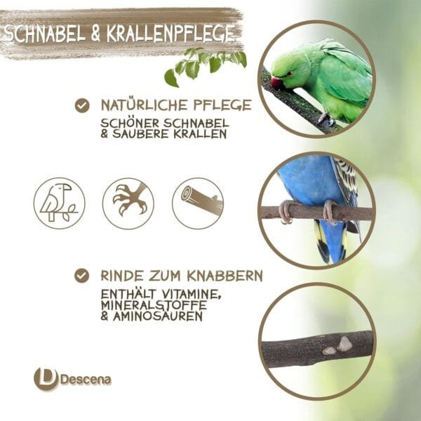 6 perchas naturales para pájaros (18 – 26 cm): accesorios para jaula de pájaros, barras de asiento naturales, accesorios para periquitos, juguete para periquitos, percha para jaula de pájaros - Image 6