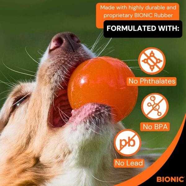 BIONIC Juguete Interactivo para Perros Pelota, M, 6,7 cm - Image 4