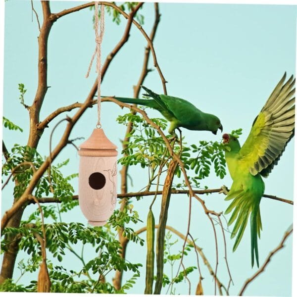 AOKWAWALIY comedero para pájaros colibrí comederos para pájaros comedero Colgante comedero para pájaros al Aire Mascota Comida de Pajaro Bandeja de alimentación Aves envase Madera - Image 6