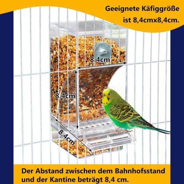 Comedero automático para pájaros, loros, comedero para pájaros, acrílico, transparente, comedero para pájaros, jaula para pájaros, accesorios para cacatúas, accesorios para periquitos, accesorios para - Image 3