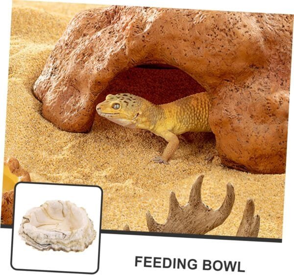 Yardwe 3 Piezas Cuenco para Mascotas Pet Feeder Plato alimentación Gecko Cuenco Agua del terrario Remojar en Agua Bandeja alimentación Plato Comida Plato Animales envase - Image 4