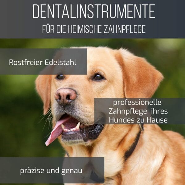 Schwertkrone, Eliminador de sarro para perros de acero inoxidable con 2 cabezas, cuidado dental para perros - Image 4