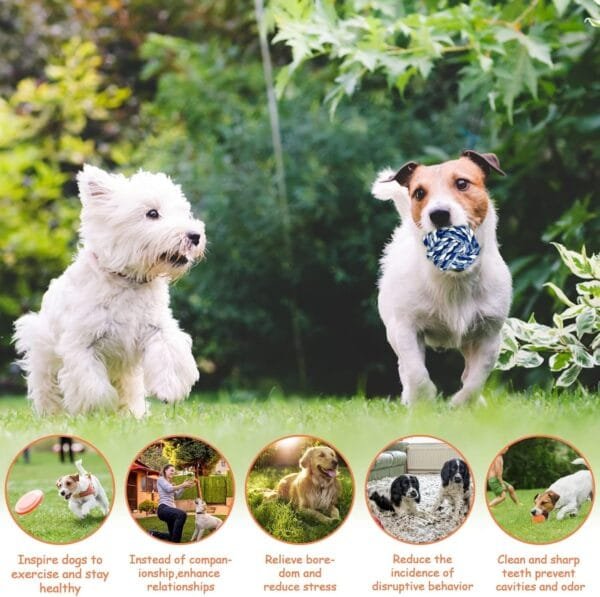 20 piezas de juguete para perros,Juguete para masticar cuerda de juguete interactivo perro bola de cuerda,Juguete interactivo perro de algodón seguro y no tóxico puede limpiar los dientes de perro - Image 4