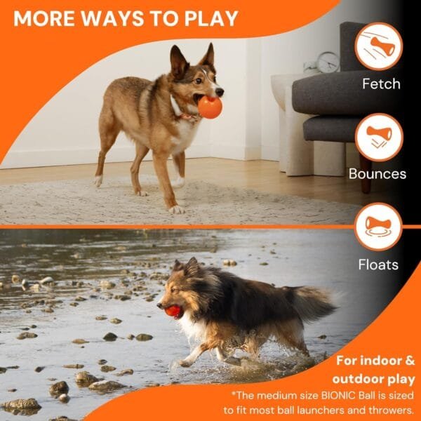 BIONIC Juguete Interactivo para Perros Pelota, M, 6,7 cm - Image 7