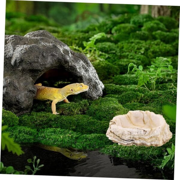 Yardwe 3 Piezas Cuenco para Mascotas Pet Feeder Plato alimentación Gecko Cuenco Agua del terrario Remojar en Agua Bandeja alimentación Plato Comida Plato Animales envase - Image 8