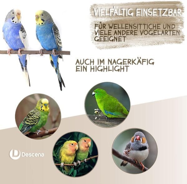 6 perchas naturales para pájaros (18 – 26 cm): accesorios para jaula de pájaros, barras de asiento naturales, accesorios para periquitos, juguete para periquitos, percha para jaula de pájaros - Image 5