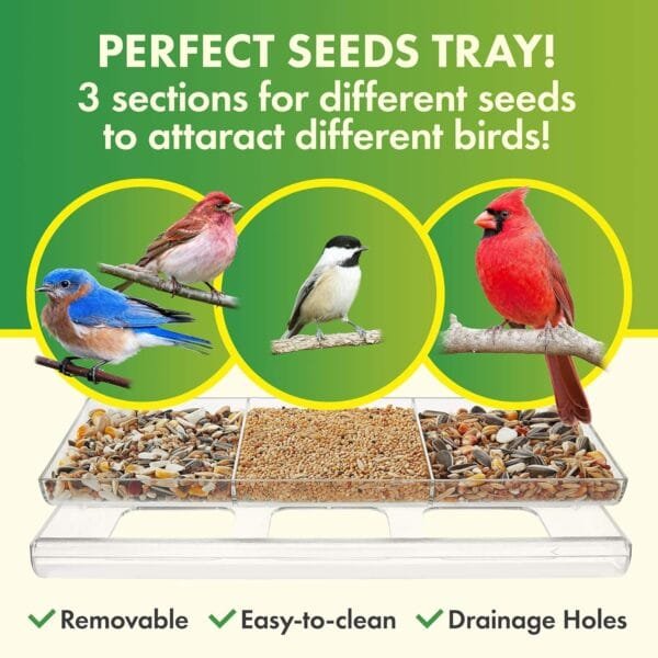UPP comedero de pájaros Exterior para Ventana I alimentador de Aves, observa los pajaros Desde la Ventana I pajarera Transparente, con 4 ventosas I casita comedero gorriones, Canarios... (30x14x10cm) - Image 9