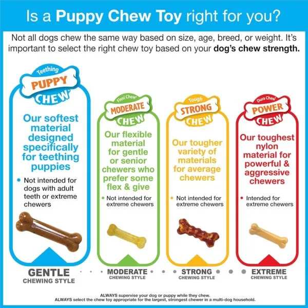 Nylabone - Teething Keys pequeño, juguete para dentición de cachorros - Image 9