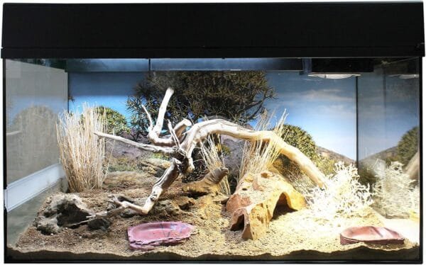 Lucky Reptile Turtle Dish WDL-10 - Cuenco de Agua o Comida para Tortugas - Image 2