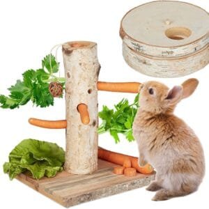 Relaxdays Juguetes para Conejo, Set 2 Piezas, Masticar, Juego Inteligencia, Madera, Accesorio Cobaya, Roedores, Marrón