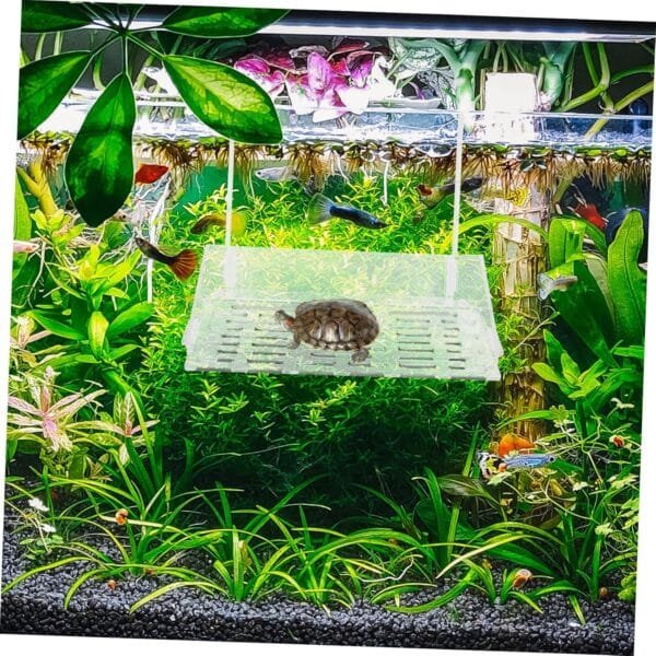 Yardwe 4 Piezas Terraza Colgante de Tortugas hábitat de Reptiles Accesorio para Tanque de Tortugas Accesorios terrario Reptiles Juguetes muñecos Plataforma para Tomar el Sol en el hogar - Image 8