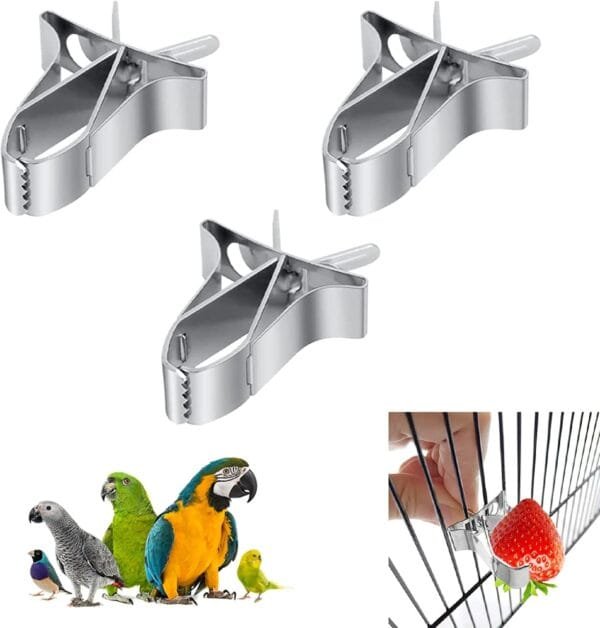 Clip para comedero de loros, dispositivo de alimentación para pájaros, duradero, accesorio para jaula de pájaros, clip de fruta, para periquitos, cacatúas, 3 unidades