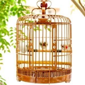 KUANDARM Jaula De Pájaro De Bambú Retro Hecho A Mano Tallado Hueco Casa De Pájaro Colgante Redonda con Accesorios Completos