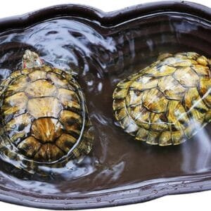 Wiclnyg Plato de alimentación de tortugas, piscina de agua de de gran tamaño, con tubo de drenaje, juguete de escalada de tortugas para un hermoso entorno de acuario