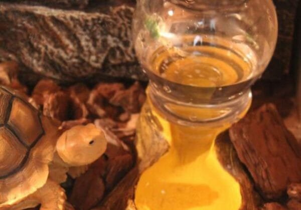 OMEM Bebederos para Reptiles, Dispensadores de Alimentos y Agua Potable Automáticos de Plástico para Tortuga Lagarto Tortuga Gecko - Image 7