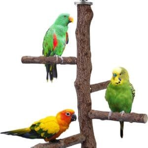 Filhome Perca para pájaros, perca de madera natural, accesorios para periquitos, cacatúas, guacamayos, pinzones, pájaros de amor (M: 10 pulgadas de longitud)