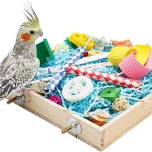 Dnoifne Caja de juguetes de búsqueda de pájaros, caja de juguetes para triturar loros, juguetes para masticar pájaros, accesorios de jaula de pájaros, adecuada para pájaros pequeños, periquitos,