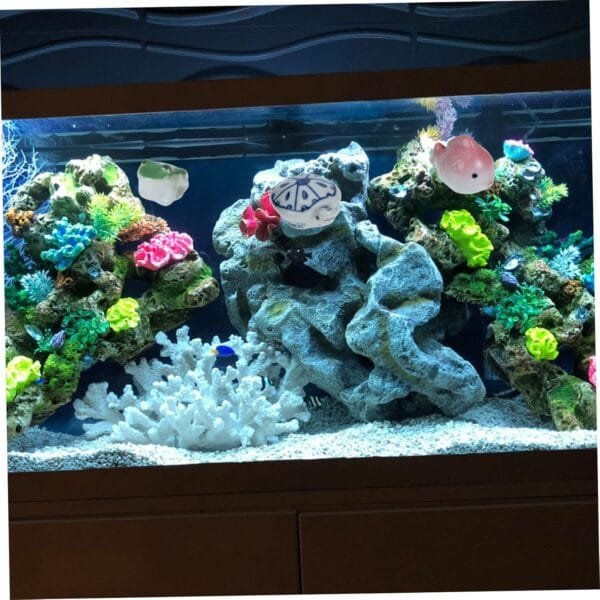 Yardwe 3 Piezas Bola Flotante de cerámica Juguetes para niños Mini Tortugas Accesorios para peceras Planta Criatura acuática Flotante Decoraciones flotantes Artificial pez Flotante Viva - Image 2