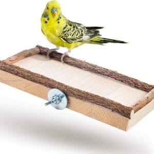 Plataforma para pájaros, accesorio ideal para jaula de pájaros