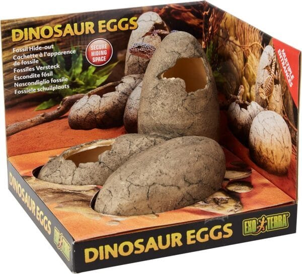 Exo Terra Cuevas Huevos de Dinosaurio